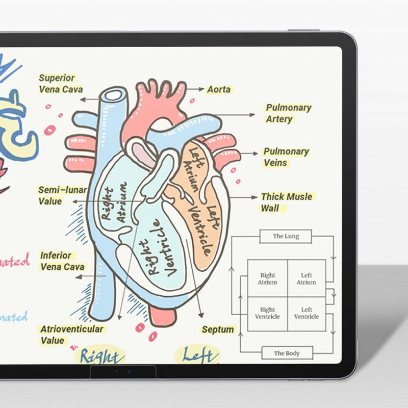 Apple iPad Pro 11 2024 Kağıt Hisli Benks Mat Paper-Like Ekran Koruyucu